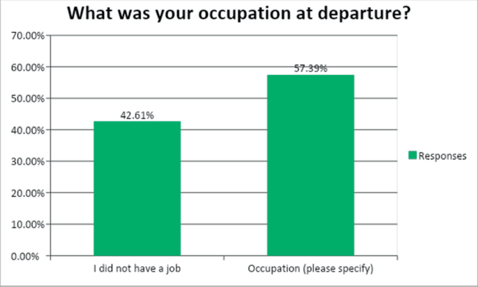 A vertical bar chart illustrates the response rate for the question of occupation at departure. The value for I did not have a job is 42.61 percent and the occupation specification is 57.39 percent.