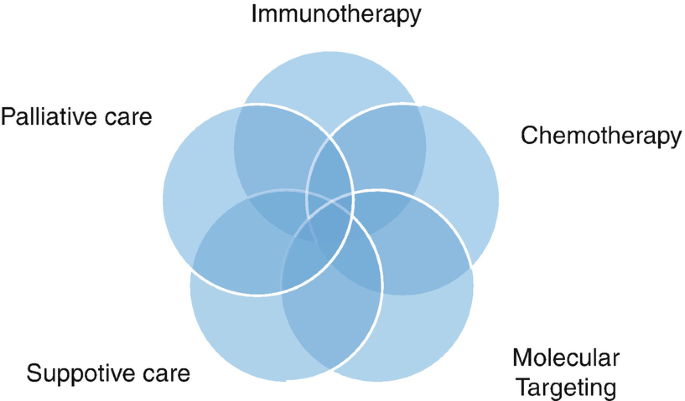 A 5-circle infographic vector diagram labeled immunotherapy, chemotherapy, molecular targeting, supportive care, and palliative care.