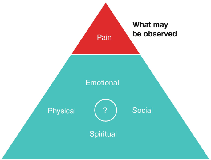 A pyramid diagram of 2 layers. The top layer is labeled pain. The bottom layer has a question mark surrounded by labels, emotional, social, spiritual, and physical. A question, what may be observed, is near pain.