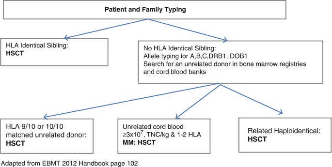 A classification chart of patient and family typing. It branches into H L A and no H L A identical sibling. The latter branches into matched unrelated, unrelated cord blood, and related haploidentical donors.