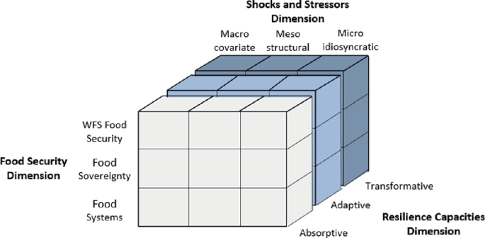 A diagram consists of a cuboid split vertically into three parts, with each part split into a 3 by 3. The top is labeled the shocks and stressors dimension, the side is labeled the resilience capabilities dimension, and the left side is labeled the food security dimension.