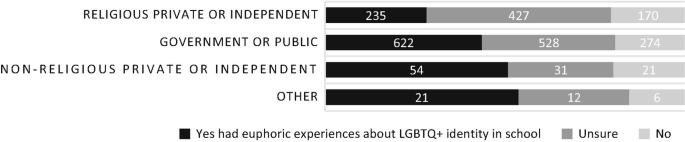 A horizontally stacked bar chart plots euphoric experiences versus school type for religious private or independent, government or public, non-religious private or independent, and other. Each stack represents, yes had euphoric experiences about L G B T Q plus identity in school, unsure, and no. The government or public has the most euphoric experiences, followed by others who have the fewest.