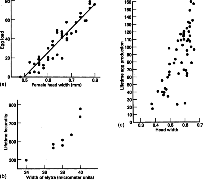 3 scatter plots. A. Egg load versus female head width. The plots have an increasing trend. B. Lifetime fecundity versus width of elytra. The plots have an increasing trend. C. Lifetime egg production versus head width. The plots have an increasing trend.