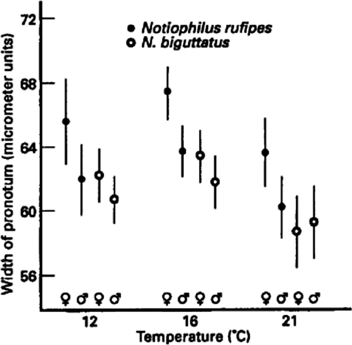 A dot plot with error lines plots the width of the pronotum versus temperature for two species. The plots plateau initially and then have a decreasing trend.