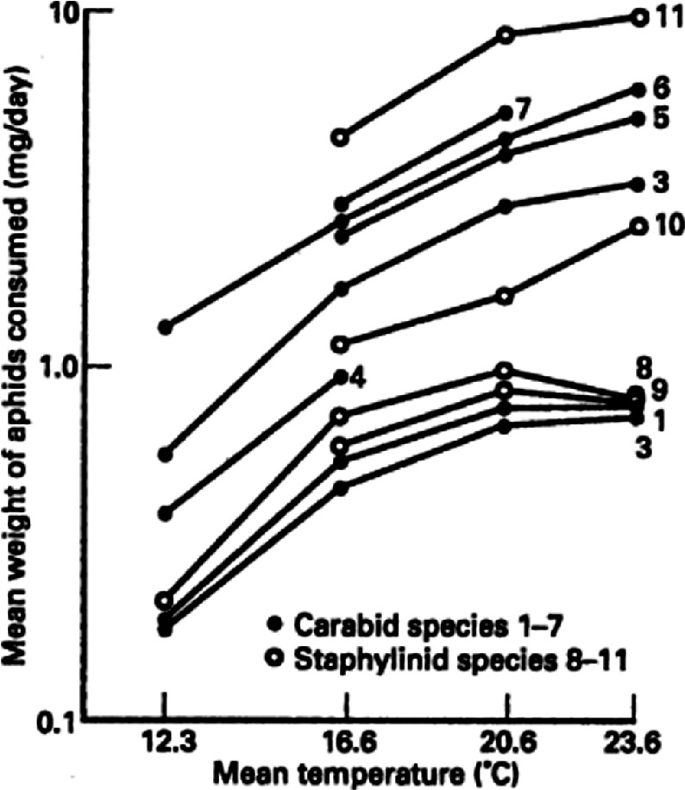 A dot plot plots the mean weight of aphids consumed versus the mean temperature. The plots for carabid and staphylinid species have an increasing trend.