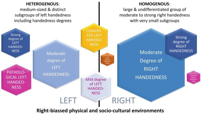 Manual praxis and language-production networks, and their links to  handedness - ScienceDirect