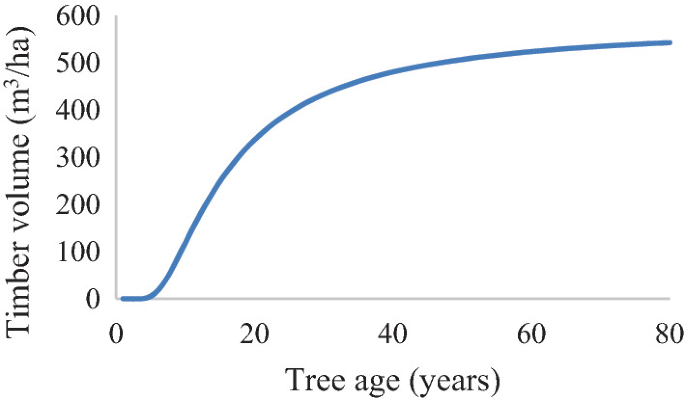 A line graph represents timber volume in cubic meters per hectare versus tree age in years. The plotted line exhibits an upward trend from (0, 0) to around (80, 500).