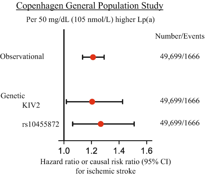 A dot plot with horizontal error bars of hazard ratio or casual risk ratio for ischemic stroke. It plots for observational, genetic K I V 2, and r s 10455872.