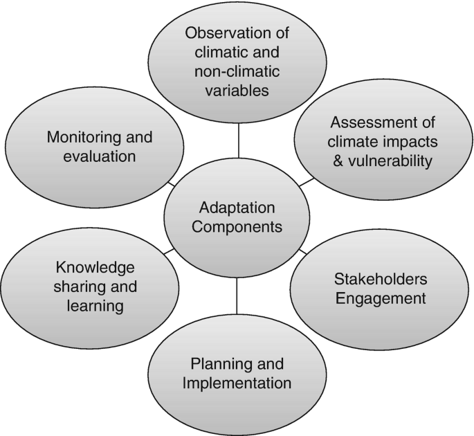 A radial diagram lists the adaptation components. The components are observation of climatic and non-climatic variables, assessment of climate impacts and vulnerability, stakeholders engagement, planning, and implementation, knowledge sharing and learning, and monitoring and evaluation.