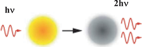 An illustration of stimulated emission. A wiggly arrow labeled h nu leads to a light-shaded circle, that in turn leads to a dark-shaded circle that emits 2 wiggly arrows labeled 2 h nu.