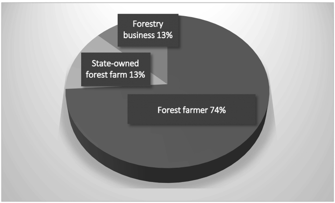 A pie chart of eucalyptus shares by different ownership types. The data is as follows. Forest farmer, 74%. State-owned forest farm, 13%. Forestry business, 13%.