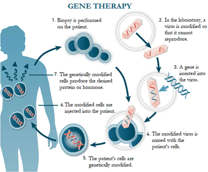 Gene Therapy as a Solution to Genetic Diseases Through DNA Manipulation |  SpringerLink