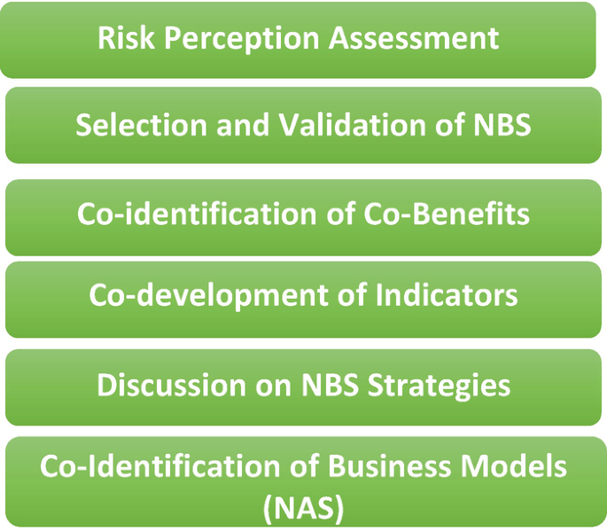 From top to bottom, 6 blocks of risk perception assessment, selection and validation of N B S, co-identification of co-benefits, co-development of indicators, discussion on N B S strategies, and co-identification of business models.