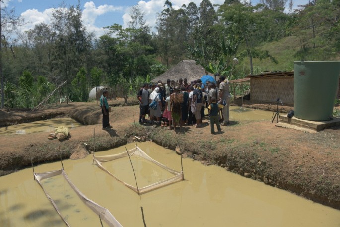 A photograph of a crowd standing near a small rectangular muddy pond. Huts and trees are in the background.