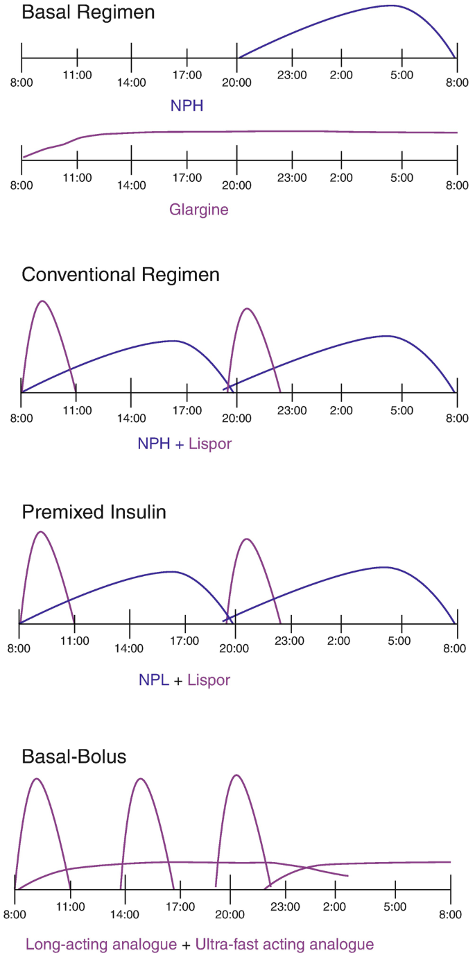 Use of Insulin in Outpatient Diabetes Management | Springer Nature Link