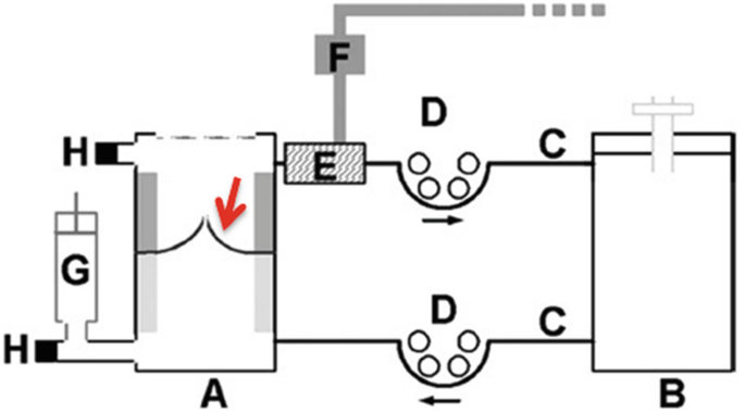 A diagram of a diastolic pulse duplicator has 8 parts labeled from A to H. An arrow indicates a T E H V placed within the bioreactor chamber labeled A.