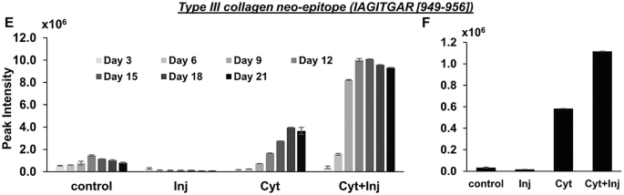 Two bar graphs E and F for type three collagen neo epitope. E is a clustered bar graph for peak intensity with bars for days 3, 6, 9, 12, 15, 18, and 21. E and F have the highest intensity for cytokines plus injury.