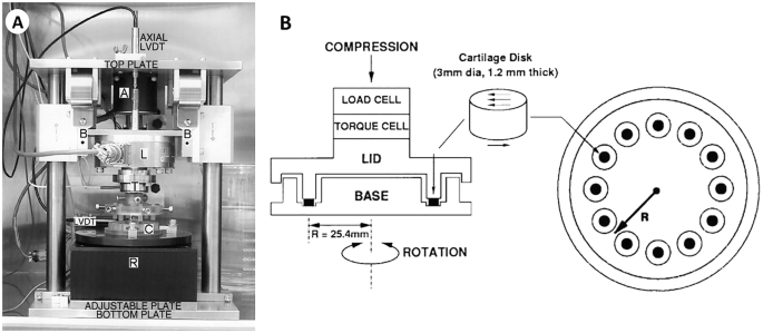 A photo and a diagram of the shear and compression device. Some of the parts labeled in the photo are axial L V D T, top, adjustable, and bottom plates. The diagram presents the load cell, torque cell, lid, base, and cartilage disk.