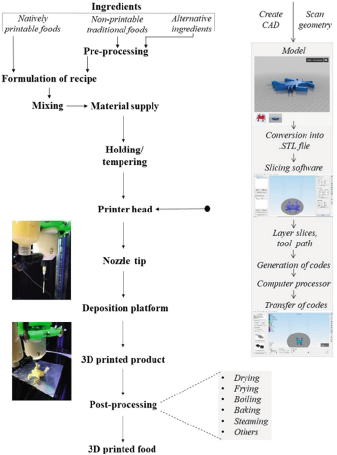 Extrusion-Based 3D Printing Concept in Customized Nutritional