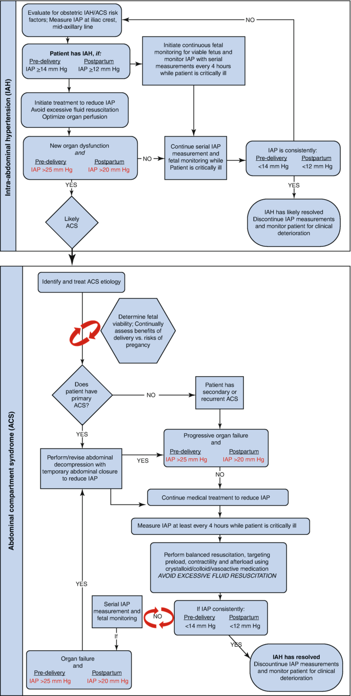 In vitro Study of Hemodynamic Treatment Improvement: Hunterian