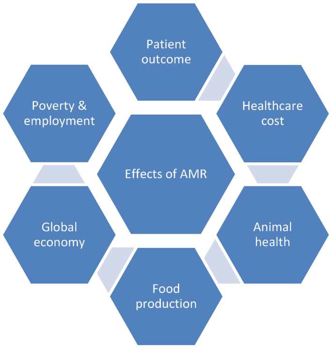 A hexagonal radial diagram presents 6 effects of A M R. 1. Patient outcome. 2. Healthcare cost. 3. Animal health. 4. Food production. 5. Global economy. 6. Poverty and employment.