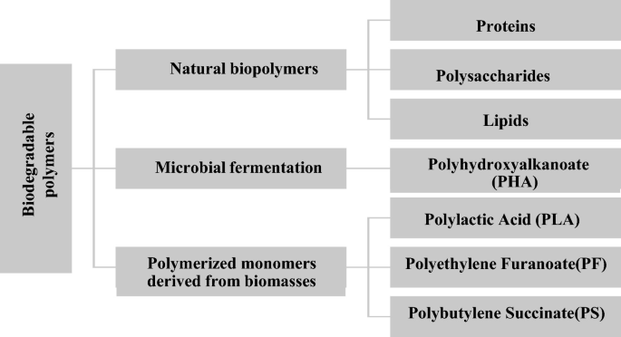 A horizontal organizational chart classifies the Biodegradable polymers. It includes natural biopolymers, microbial fermentation, polymerized monomers derived from biomasses.