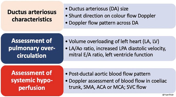 A 3-part infographic chart lists the Ductus arteriosus characteristics, the assessment of pulmonary over-circulation, and the assessment of systemic hypo-perfusion. The respective approaches are listed in bulleted points on their right.