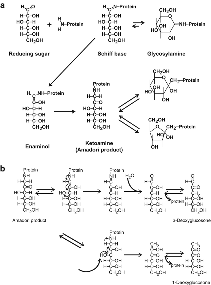 A three-part diagram illustrates the glycation processes. Parts a and b contain the chemical structures of some compounds and associated reactions. Part c depicts the various pathways leading to the formation of A G Es. Example, Baynes, Heineke, Hodge, among others.