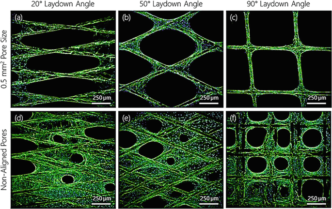Effect of APPJ treatment on PCL MEW microfiber mesh morphology. a) SEM