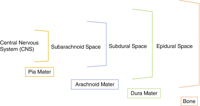 A schematic of meninges and spaces. From left to right, it has the central nervous system, pia mater, subarachnoid space, arachnoid mater, subdural space, dura mater, epidural space, and bone.