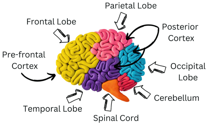 Commercial Door Diagram - What are the Parts of a Door? LaForce