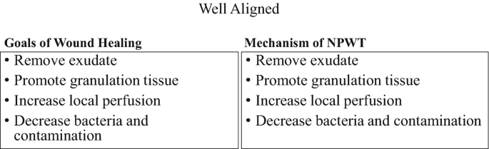 A tabulated text image illustrates the goal of wound healing and the mechanism of negative pressure wound therapy are in complete alignment with each other.