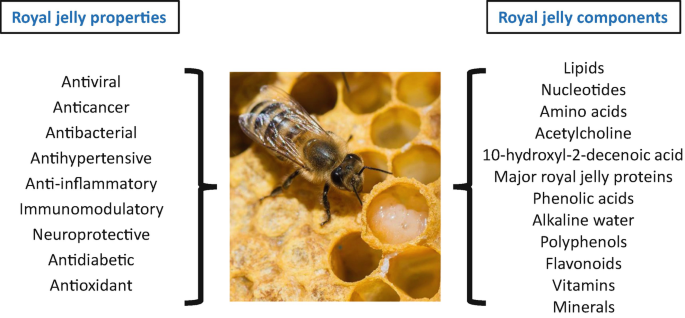 A photograph of a bee in a honeycomb in the center. On the left, are the royal jelly properties, which include antiviral, anticancer, antibacterial, antihypertensive, anti-inflammatory, immunomodulatory, neuroprotective, antidiabetic, and antioxidant. On the right are the royal jelly components that comprise lipid nucleotides, amino acids, acetylcholine, 10-hydroxyl-2-decenoic acid, major royal jelly proteins, phenolic acids, alkaline water, polyphenols, flavonoids, vitamins, and minerals.