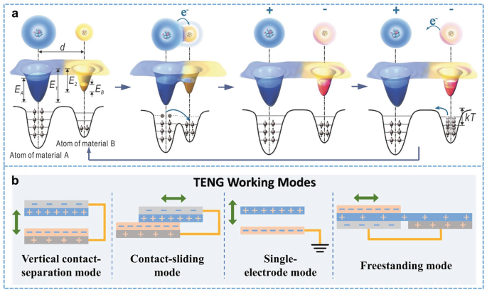 Mechanism and Applications of Electrical Stimulation Disturbance on  Motoneuron Excitability Studied Using Flexible Intramuscular Electrode -  Wang - 2019 - Advanced Biosystems - Wiley Online Library