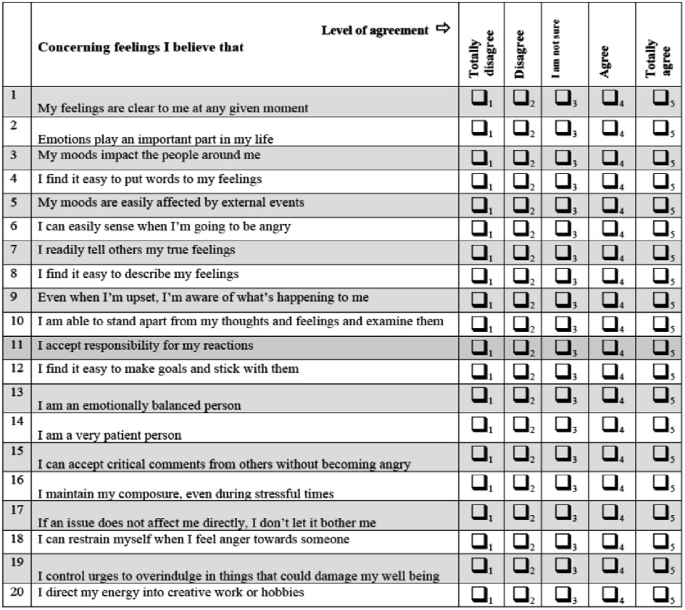 A screenshot of the questionnaire on teaching experiences. The left side has 20 statements related to handling emotions. The right side has 5 checkboxes next to each statement for the different levels of agreement ranging from totally disagree to totally agree.