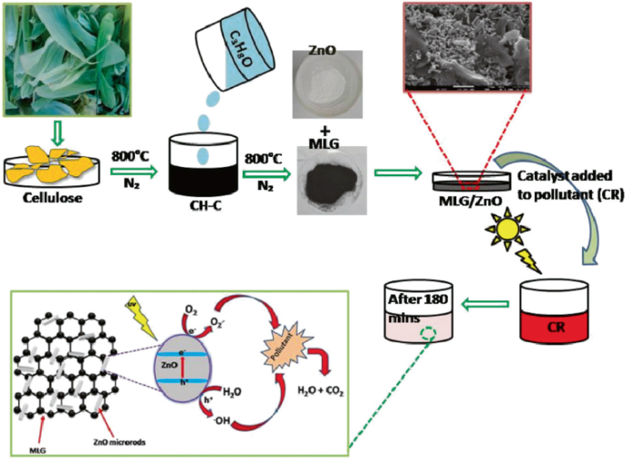 A schematic representation of photocatalytic activity. Samples of cellulose with N 2 are heated at 800 degrees Celsius to get C H C and are again heated with C 3 H 3 O and N 2 at the same temperature. Z n O + M L G with catalysts added to pollutant C R in the presence of sunlight after 180 minutes results in multi-layered graphene or Z n O nanocomposite.