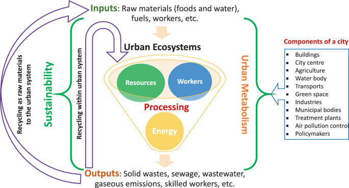 An illustration of urban metabolism and sustainability. Sustainability includes recycling as raw data from urban ecosystems. Urban metabolism includes buildings, agriculture, water body, and more. The urban ecosystems include resources, workers, and energy.