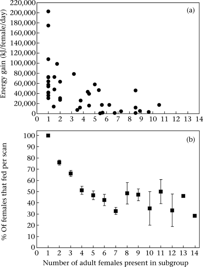 a. A scatter plot of energy gain versus number of adult females present in subgroup. The values are plotted in a downward trend. b. A box plot of percentage of females that fed per scan versus number of adult females present in subgroup. The highest percent is approximately at (1, 100).