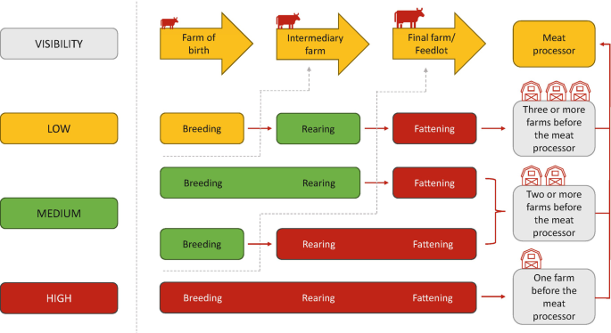 A block flow illustration of visibility, farm of birth, intermediary farm, final farm, and meat processor. The visibility has blocks of low, medium, and high. Each follows breeding, rearing, and fattening. The high visibility of the cattle includes just one farm before the meat processor while the low has 3 or more farms.