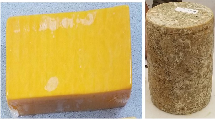 2 photographs. Left. It displays a cuboidal-shaped solid piece of cheese. Right. It displays a tall cylindrical shaped piece of cheese.