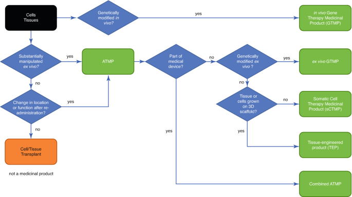 A decision tree of the manipulation of cells and tissues by A T M P. If the cells can be manipulated ex vivo, then the A T M P options include ex vivo G T M P, s c t M P or somatic cell therapy medicinal product, tissue-engineered product, and combined A T M P.