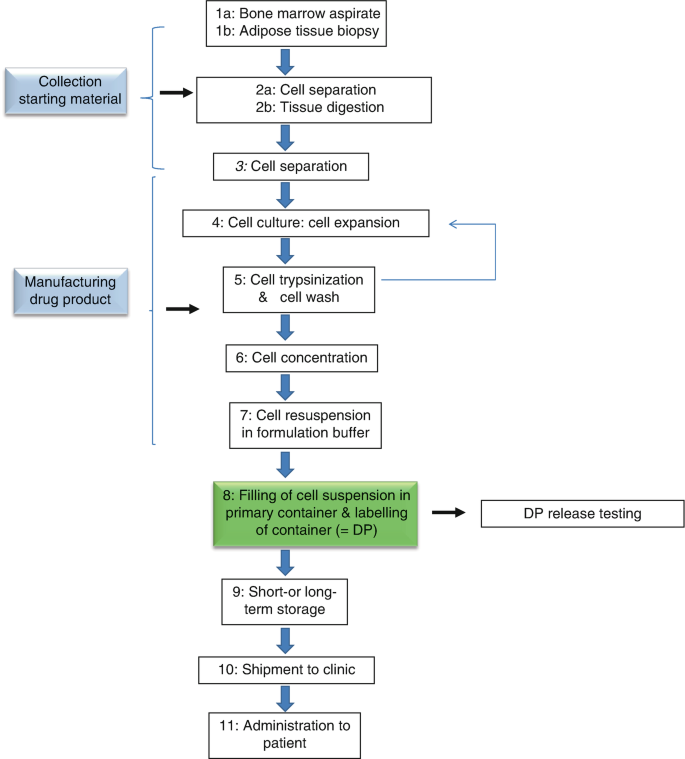 A flow diagram of the manufacturing process of a cell-based product. 1. Adipose tissue biopsy. 2. Tissue digestion. 3. Cell separation. 4. Cell culture. 5. Cell wash. 6. Cell concentration. 7. Cell resuspension. 8. Filling of cell suspension. 9. Storage. 10. Shipment to clinic. 11. Administration.