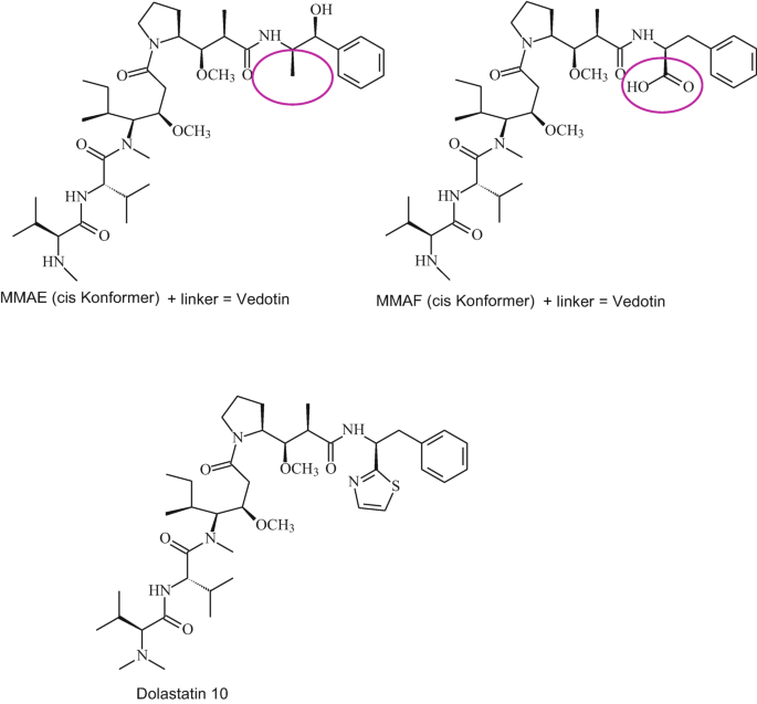 The chemical structures of the conformers of vedotin. It includes M M A E + linker, M M A F + linker, and dolastatin. All the molecules have one pole made of an amine and the other pole made of a benzene ring.