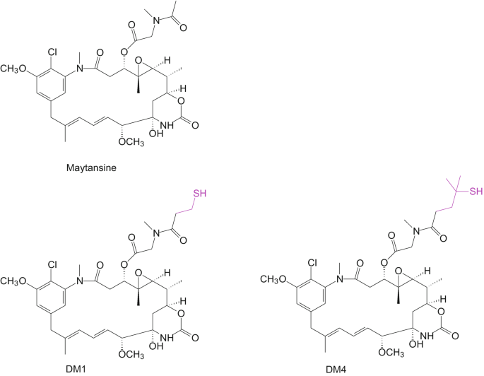 The chemical structures of Maytansine, D M 1, and D M 4 molecules. These molecules have ring-shaped structures with double bonds. S H terminals are present in D M 1 and D M 4 molecules.