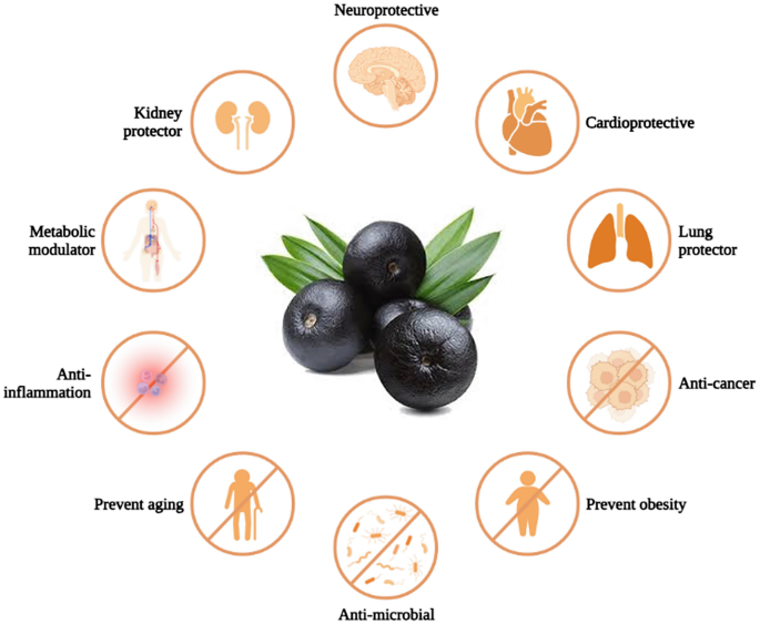 ACAI BERRY EXTRACT BENEFITS