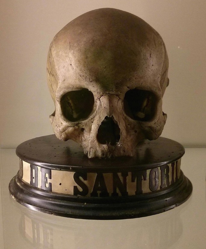 A photograph of Sanctorius Sanctorius's skull, which is kept on a circular platform for display.