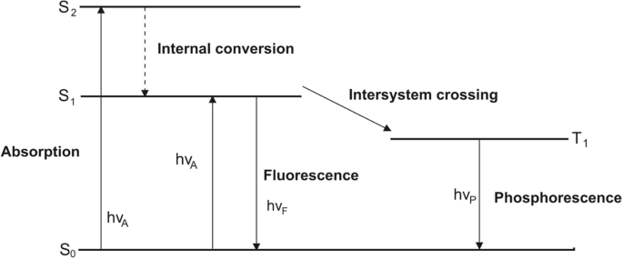 A Jablonski diagram presents states S 0, S 1, S 2, and T 1. Molecules absorb light and reach state S 2 from S 0. By internal conversion, they return to S 1, and then to S 0. It results in fluorescence. Intersystem crossing from S 1 to T 1, and return from T 1 to S 0, results in phosphorescence.