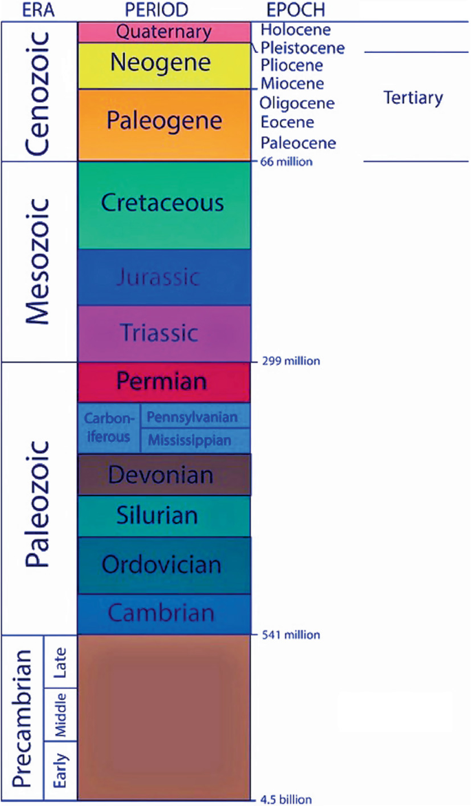 The Geological Framework | SpringerLink, image size:685x1171