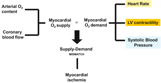 An illustration of hemodynamic mechanism. The myocardial O 2 supply by arterial content and coronary blood flow and myocardial O 2 demand by heart rate, L V contractility, and systolic blood pressure, leading to a supply-demand mismatch. It further leads to myocardial ischemia.