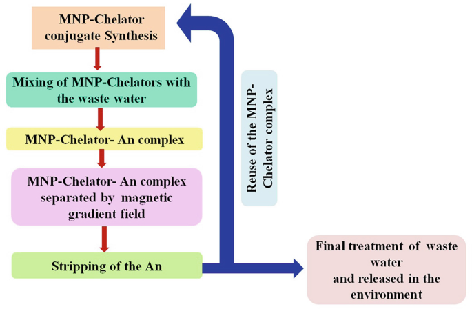 Efficient bioremediation of radioactive iodine using biogenic gold